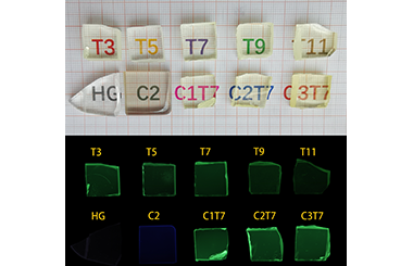 Scintillation Properties of Ce3+/Tb3+ Co-doped Oxyfluoride Glass with the Exploration of Imaging Application 2011-3146